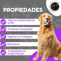 Armi Champú Ekilibri Con Extracto de Caviar Perro-Gato - Champú Perros - Gato - Champú Caviar Perro - Champú Gato - 225 ml - - details 2