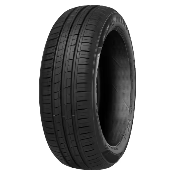 NEUMÁTICOS MINERVA 185/65 R14 86H 209 - 1