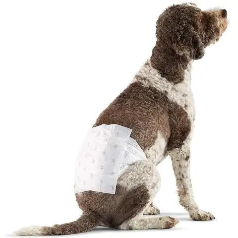Pañales desechables para perro macho AmazonBasics, Talla L y Talla XS (paquete de 50), Blanco - 1
