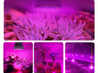 2pcs Bombilla LED De Crecimiento De Plantas Full Spectrum E27 220V Para Jardín Indoor Hidroponía Tienda De Crecimiento Lámpara Fitolampy Phyto - details 3