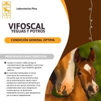 VIFOSCAL YEGUAS Y POTROS vitaminas y minerales de Laboratorios Pino - details 0