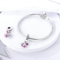Colgante De Serie Trabajo Y Carrera En Color Plata Para Pulsera Pandora DIY Joyería Para Mujer Zirconia Metálica De Plata - details 39