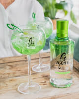 G'Vine Floraison Ginebra de Francia - Contemporánea y Exclusiva Gin de Máxima Calidad con Flor Verde de Vid - 70cl - details 1