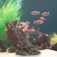 Árbol De Driftwood Para Acuario De Reptiles Y Peces Decoración De Cueva Escondite Para Mascotas Acuáticas Para Reproducirse Y Descansar - details 0