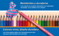 BIC Pack Coloreado - Set de 24 lápices de colores Evolution, 24 ceras Plastidecor y 24 rotuladores lavables Kid Couleur - details 1