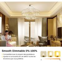 10 piezas G9 bombilla LED regulable 5W blanco cálido 3000K G9 bombillas LED halógenas equivalente 50W AC110/220V [clase de energía F] - details 1