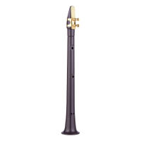 Saxofón Mini De Bolsillo C Con 11 Agujeros ABS Con Boquilla De Alto Y Lígula 4 Piezas De Regalos 8 Piezas De Almohadillas Dentales Carteles De Dedos Y Paño De Limpieza - details 11