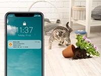 Imou 2MP Cámara Vigilancia WiFi Interior para Mascotas,360° Cámara IP WiFi con Detección de Humano, Visión Nocturna, Audio Bidireccional, Control Remoto, Modo Privacidad,Compatible con Alexa - details 13