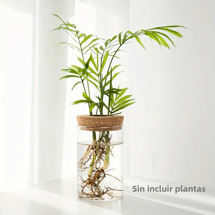 1pc Vaso De Cristal Para Plantas De Esterilidad Decoración De Escritorio Estación De Propagación De Plantas Y Vaso Para Flores - 1