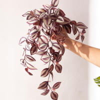 45cm Planta Artificial De Vínculo Hojas De Iva Falsas Scindapsus Aureus Rattan Para Decoración De Hogar Boda Jardín - details 13