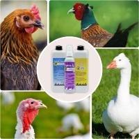 FINCA CASAREJO - Pack de Productos Limpieza y Desinfección del Gallinero - Previene Piojos y ácaros - Naturales - 1L/500 Ml - Finca Casarejo - details 3