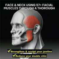 Entrenador De Musculatura Facial Deportiva Fitness Bola De La Mandíbula Disminuidor De Doble Mentón Ejercitador De Línea De La Mandíbula Para Adelgazamiento Del Cuello Y Rostro - details 4