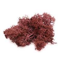 Plantas Artificiales Verdes 40g Vida Eterna Mostrador De Hierba Para Decoración De Hogar Sala De Estar Jardín Mini Paisaje Flores Falsas Para DIY Y Exposiciones - details 12