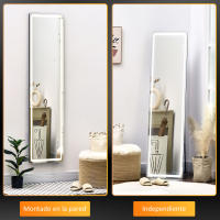 HOMCOM Espejo de Pared de Cuerpo Entero Espejo de Pie de Suelo con Luces LED Mando a Distancia 3 Colores de Luz Ajustable Brillo Ajustable y Marco de Aluminio 40x37x157,5 cm Plata y Negro - details 3