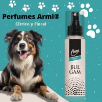 ARMI Perfume BULGAM Para Perros 100ml Cítrico Floral - details 1
