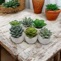 Set 6 Mini Plantas Decorativas 8x9 cm Artificiales | Macetas Realistas para Interior, Regalo y Estilo Natural - details 0
