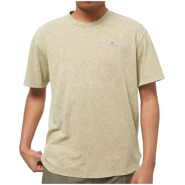 Textil Lifestyle marca Dickies modelo Dk0A4Yroj491 para hombre en color verde - 1