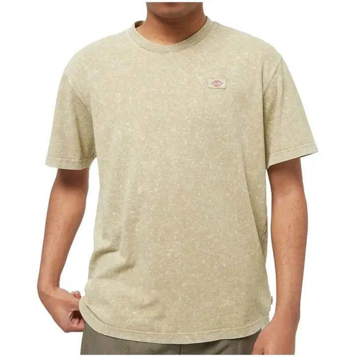 Textil Lifestyle marca Dickies modelo Dk0A4Yroj491 para hombre en color verde - 1