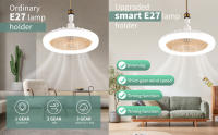 Ceiling Fans with Lights