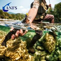 ANFS Kit De Señuelos De Pesca Suaves 5pcs Rana PVC Artificial Para Agua Dulce Y Salada Color Variado Para Pesca En Río Oceán Playa Lago Reservorio - details 5