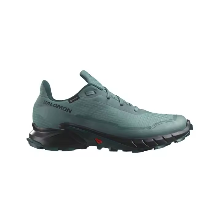 Calzado Salomon modelo Shoes Alphacross 5 Gtx Noat/Black/Sea Mo - 1
