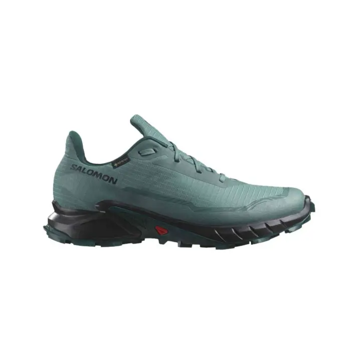 Calzado Salomon modelo Shoes Alphacross 5 Gtx Noat/Black/Sea Mo - 1