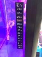 Termómetro Adhesivo Para Acuario 5/10 Piezas Discos De Temperatura Dual Escala Herramientas Para Tanque De Peces - details 5