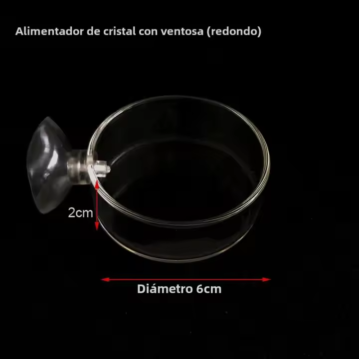 Tanque De Acuario Transparente Alimentador De Peces Y Camarones Círculo De Alimento De Vidrio Fleeting Para Sujeción En La Base - 1