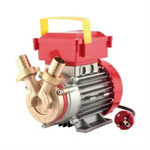 Bomba Trasvase Rover 0.8HP 2500l/h. 25CE Rover Pompe - 1