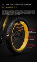 Gogobest gf600 1000W Bicicleta Eléctrica 26 pulgadas × 4,0 neumáticos Bicicleta Gorda Bicicleta de Neumático 48V 13ah - details 10