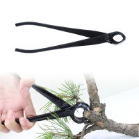 Herramientas De Bonsái Para Jardín Y Paisajismo: Cortaúñas Concavo Cinceladora 210mm Tijeras De Surtidor Y Acriscolas - details 1