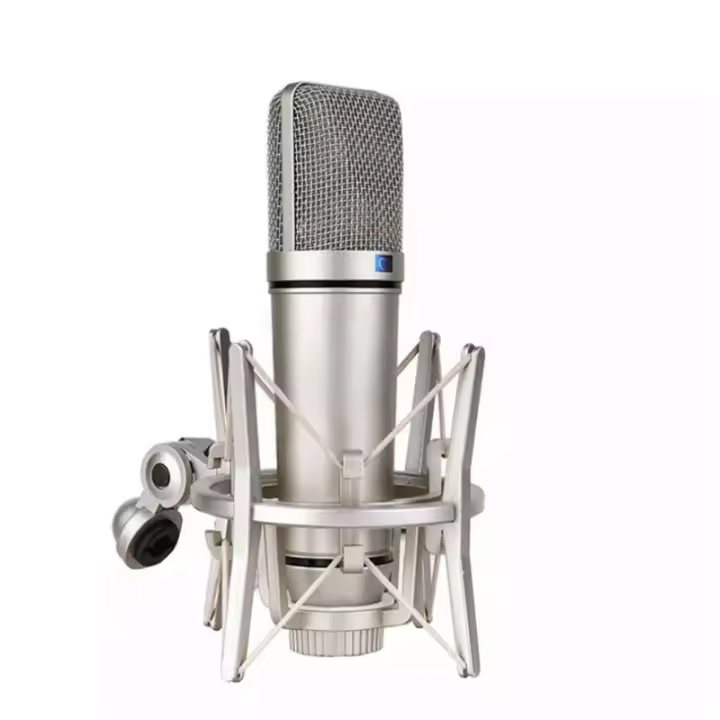 Microfono De Condensador De Metal Para Laptop Y Computadora Profesional Para Grabación De Estudio Voz Juego Transmisión De Medios TLM 1 - 1