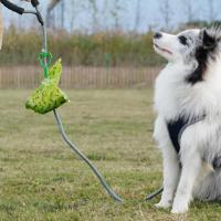 Porta Bolsas De Excremento Para Perro Dispensador De Basura Para Mascotas Libre De Manos Para Caminar Al Aire Libre Fácil De Transportar Clip Para Cachorro - details 5
