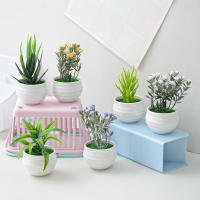 Mini Planta De Simulación Aloe Artificial Bonsái Para Decoración De Escritorio En Oficina Y Hogar Ornamento De Plantas Artificiales - details 0