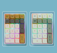 Teclado Mecánico K21 De 21 Teclas Con Conexión BT/2.4Ghz/USB-C Iluminación Colorida Interfaz Completa Para PC Y Laptops - details 23