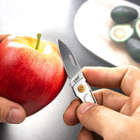 Cuchillo Plegable SANRENMU 431S Mini EDC Portátil Cuchillo De Bolsillo Con Abrigo De Botella Y Llavero Hoja De Acero Inoxidable 12C27 - details 9