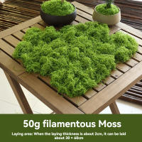50g De Hierba Artificial De Mostrador Verde Para Manualidades DIY Decoración De Habitaciones Jardines Mini Paisajes - details 5