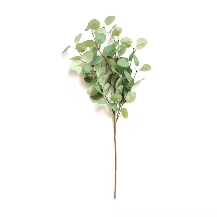 Rama Artificial De Eucalipto 60cm Hojas De Dólar Plateado Verdes Para Decoración De Casas Y Bodas Planta Falsa De Seda Sin Químicos Proveniente De Zhejiang China - 1