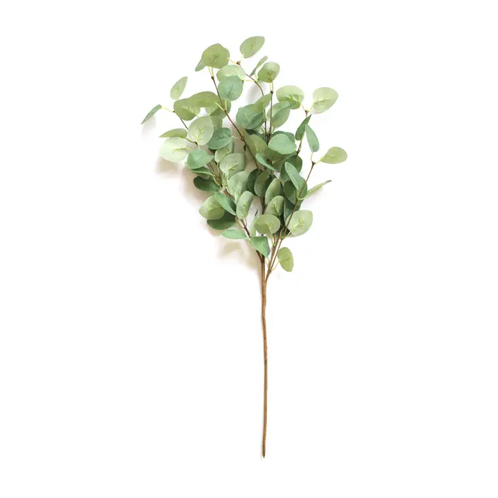 Rama Artificial De Eucalipto 60cm Hojas De Dólar Plateado Verdes Para Decoración De Casas Y Bodas Planta Falsa De Seda Sin Químicos Proveniente De Zhejiang China - 1
