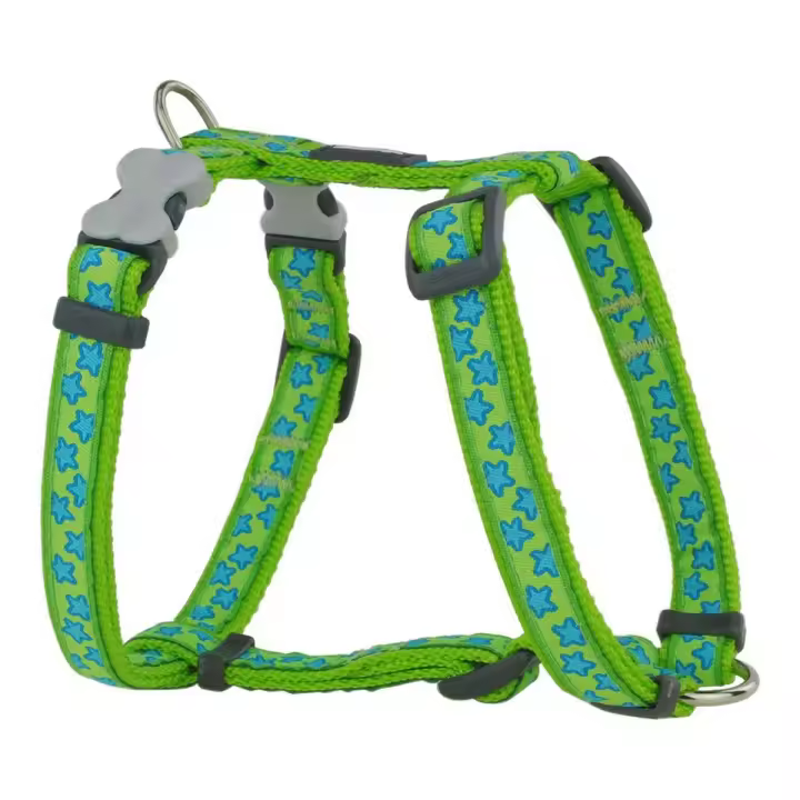 Red Dingo Arnés para Perro Red Dingo Style Estrella Verde 25-39 cm - 1