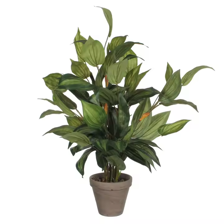 Planta Decorativa Mica Decorations Hosta Verde PVC (15,5 x 65 cm) - 1