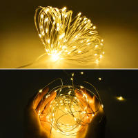 Guirnalda Decorativa De Luces De Navidad LED 24V Impermeable Para Exterior Con Hilo De Cobre Fairy Lights Para Boda Jardín Calle Césped - details 3