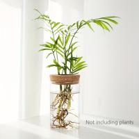 1pc Vaso De Cristal Para Plantas De Esterilidad Decoración De Escritorio Estación De Propagación De Plantas Jardín De Interiores - details 7
