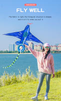 YongJian Kite Con Mango Y Línea Para Niños Deporte Al Aire Libre Divertido Para Edades 8-12 Diseño De Dibujos Animados Material Polyester - details 5