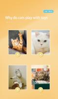 Juguete Para Gatos Con Diseño De Delfín Y Plumas Juego Interactivo Automático Divertido Con Palillo De Madera Para Mascotas - details 2