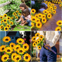 Lámpara Solar De Girasol LED Para Jardín Impermeable Decoración De Navidad Y Fiesta Guirnalda De Luz Solar Para Paisaje - details 2