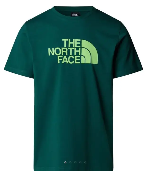 Camiseta THE NORTH FACE Mens S/S Easy Tee NF0A8A6CA6O1 Verde - 1