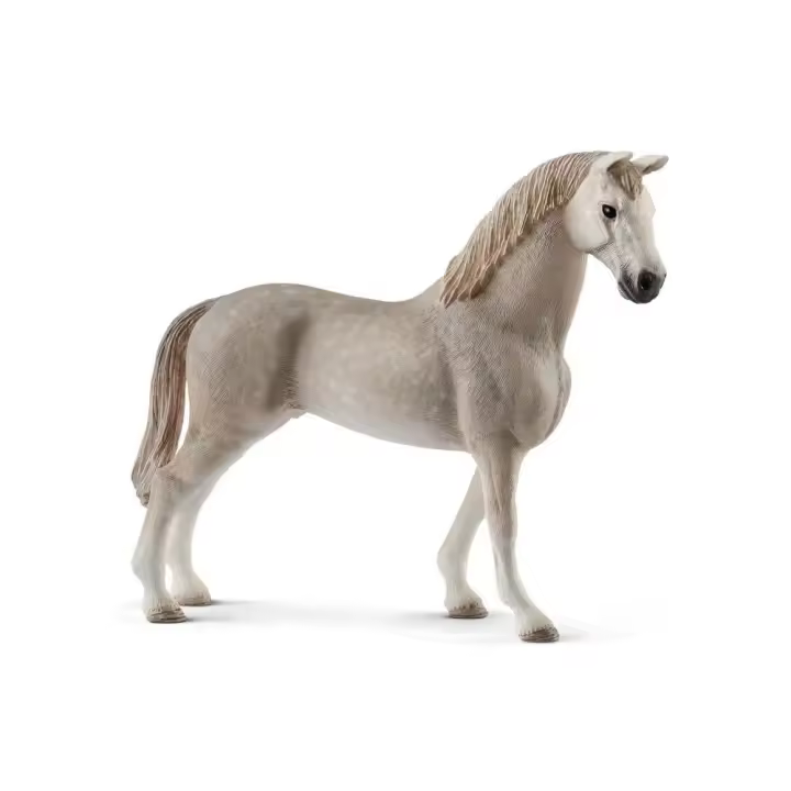 Holsteiner Schleich - Caballo Deporte Antiguo Alemania - Criado Siglo XIV - Uetersen - Schleswig-Holstein - 1