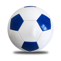 Pelota de playa inflable para entrenamiento de fútbol, impermeable, para práctica de juego - details 2
