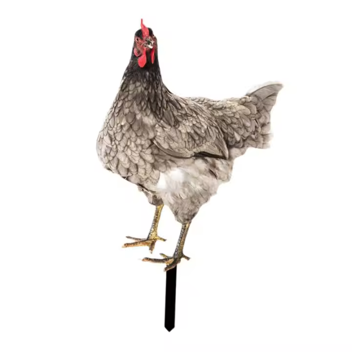 Estatua De Gallo Para Jardín Adorno Ornamental De Patoio Decorativo Para Patio Camino De Atrás Regalo Para Amante De Año Nuevo Navidad Cumpleaños - 1